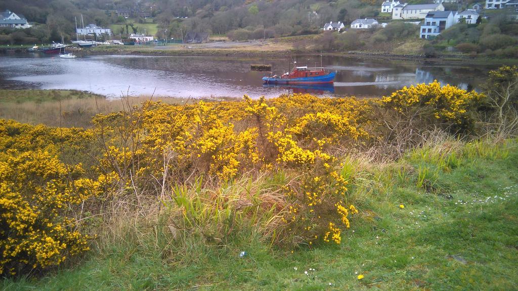 Clifden Hostel Eksteriør billede